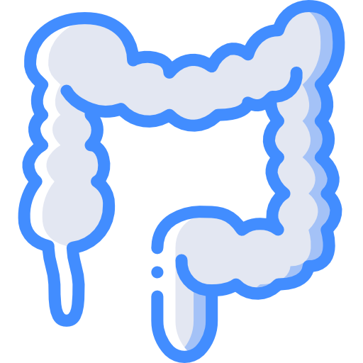 Ícone cólon e reto